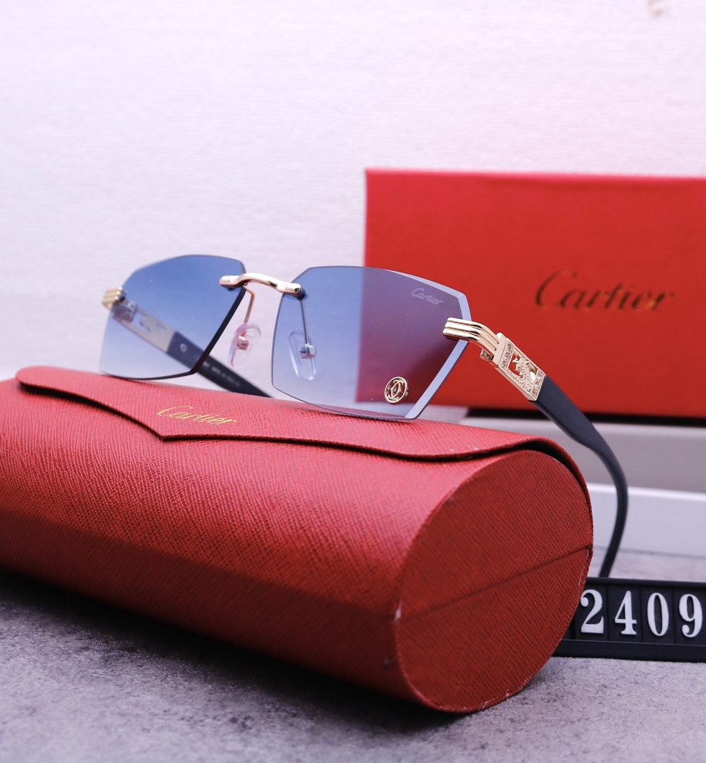 Catier Travel Sunglasses