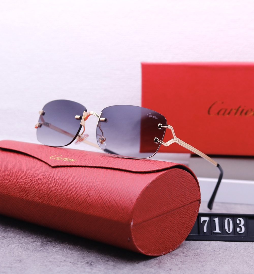 Catier Travel Sunglasses