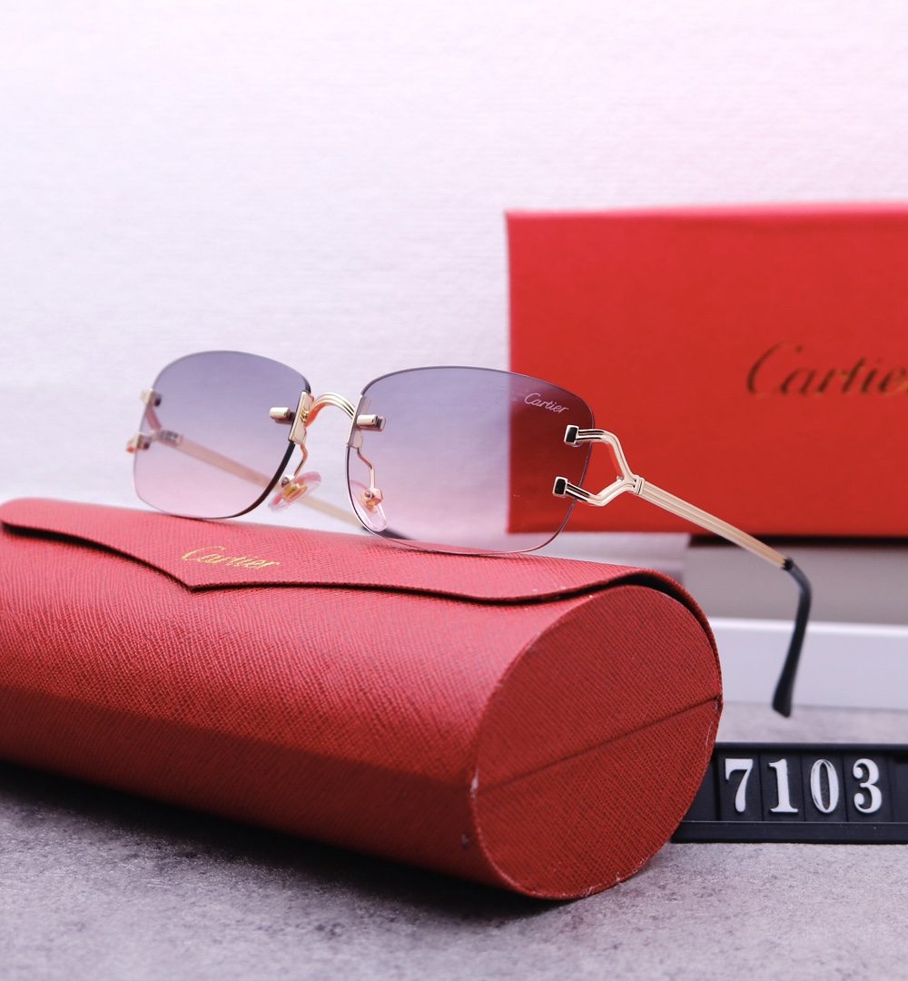 Catier Travel Sunglasses