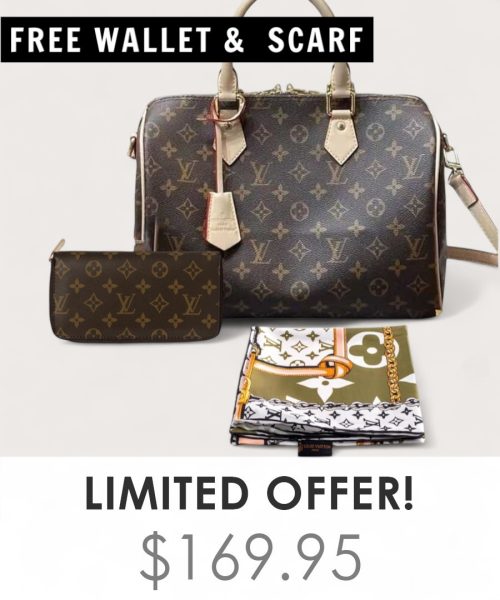 Big Bag + Gifts (FREE LV Wallet & FREE LV Scarf)