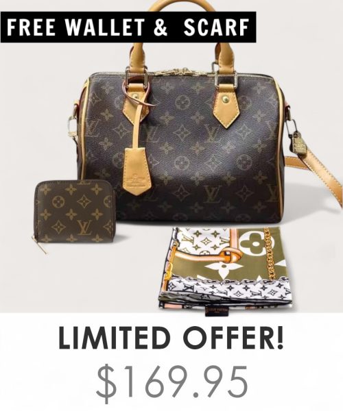 Big Bag + Gifts (FREE LV Wallet & FREE LV Scarf)