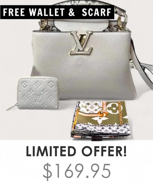 Big Bag + Gifts (FREE LV Wallet & FREE LV Scarf)