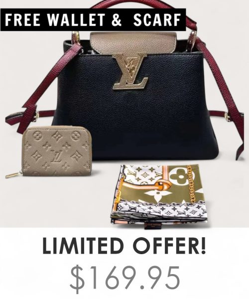 Big Bag + Gifts (FREE LV Wallet & FREE LV Scarf)