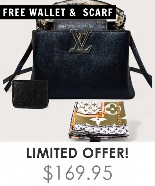 Big Bag + Gifts (FREE LV Wallet & FREE LV Scarf)