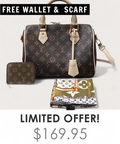Big Bag + Gifts (FREE LV Wallet & FREE LV Scarf)