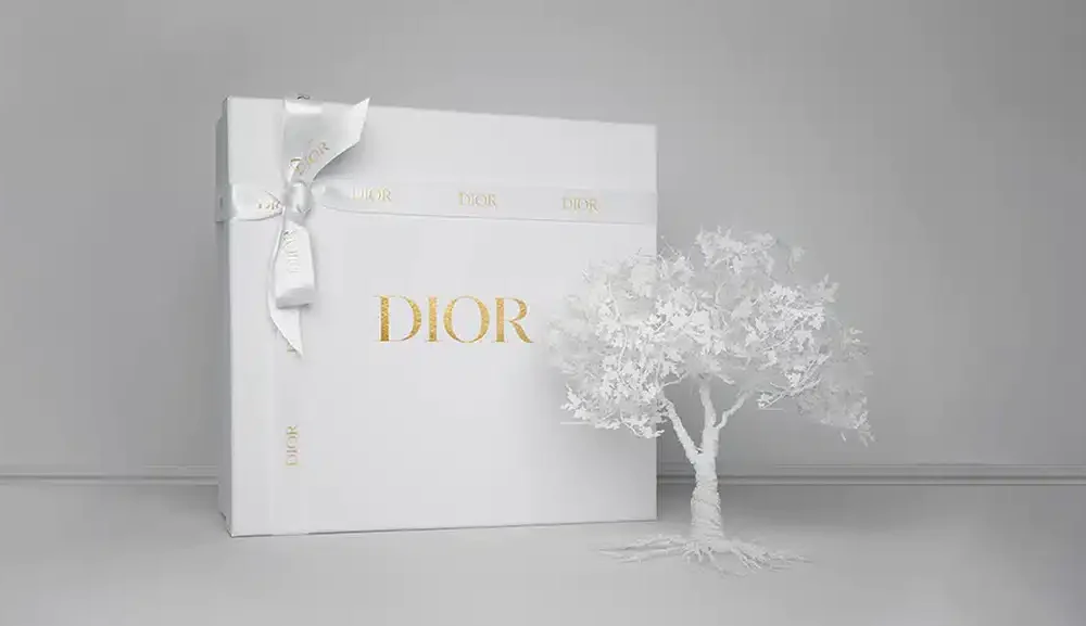 Dior Packaging Box - Perfect for Gifting