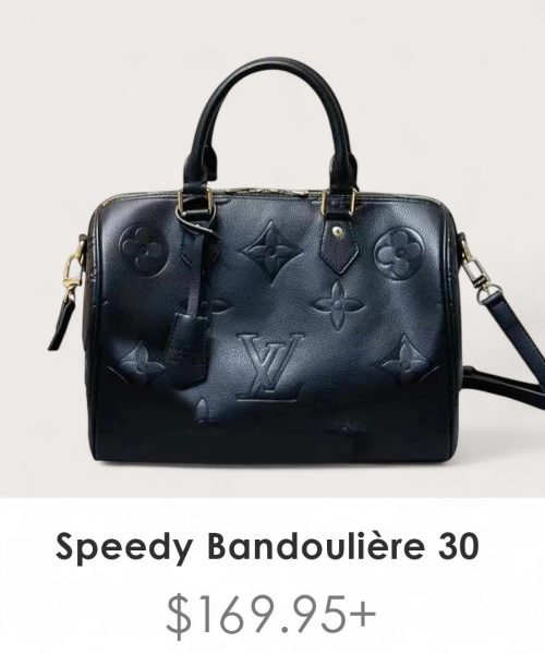 BB-LC374 - Louis Vuitton Big Bag