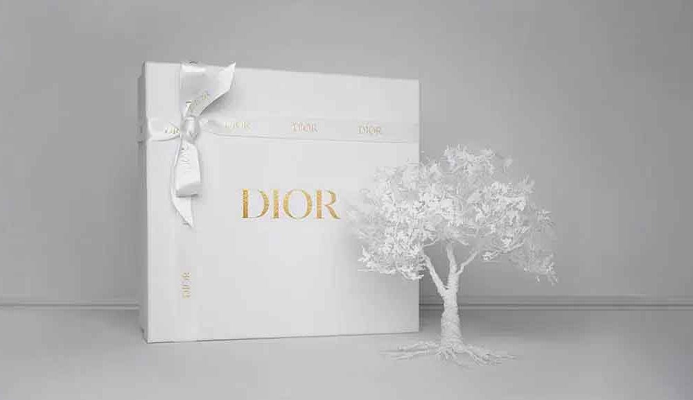 Dior Packaging Box - Perfect for Gifting