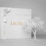 Dior Packaging Box - Perfect for Gifting