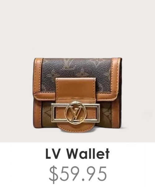 Louis Vuitton Wallet - WL013