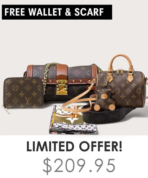 Big bag + Nano speedy + Gifts (Free LV Wallet + Free LV Silk Scarf)