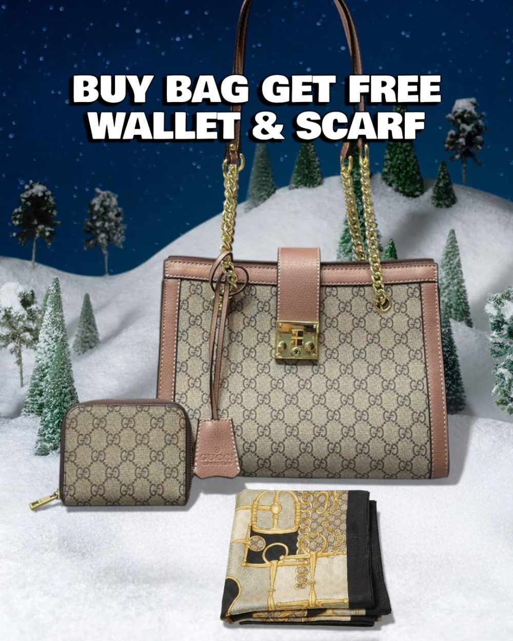 DBS-LC580 - Discounted Price For Set 2 Bags