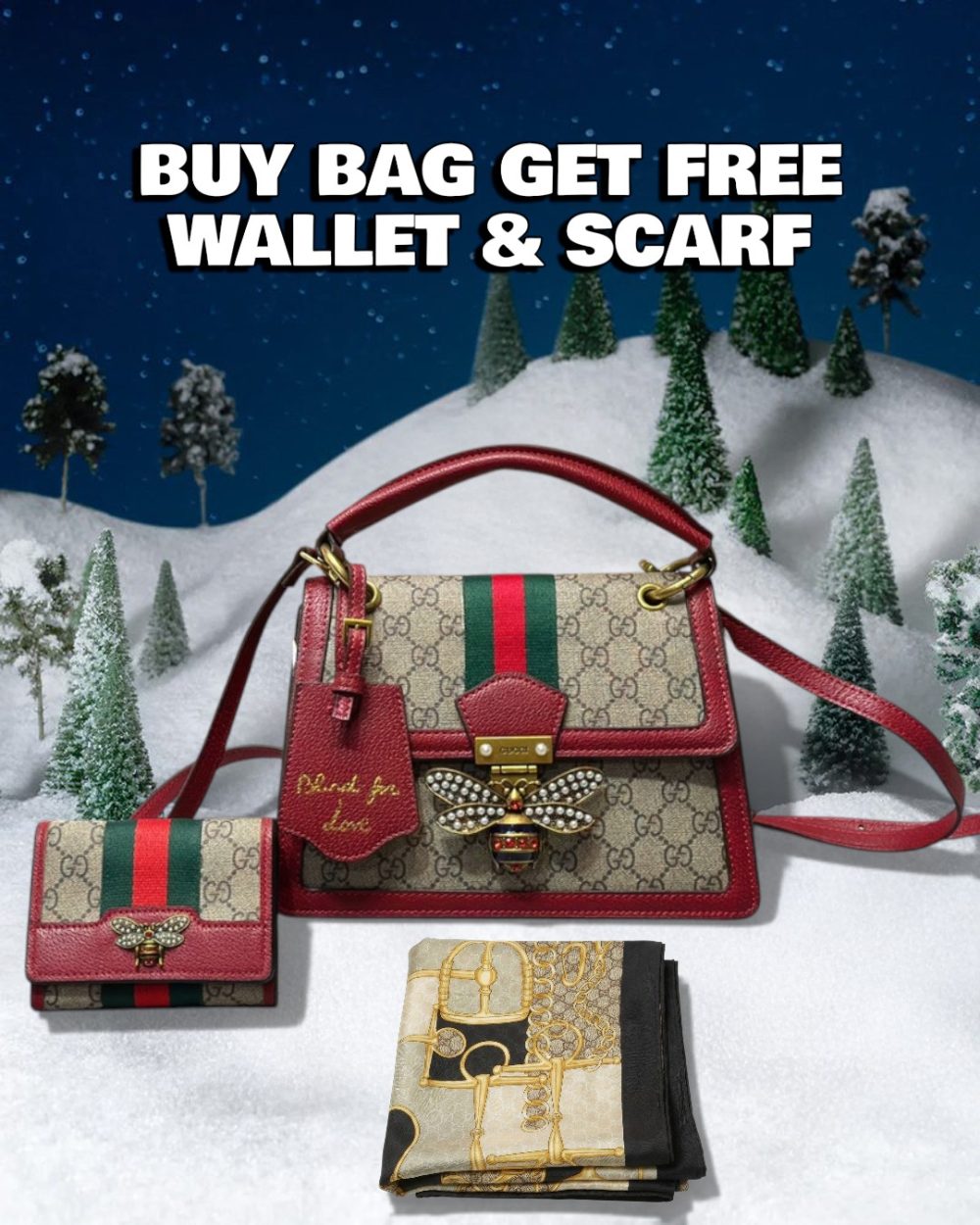 DBS-LC605 - Discounted Price For Set 2 Bags