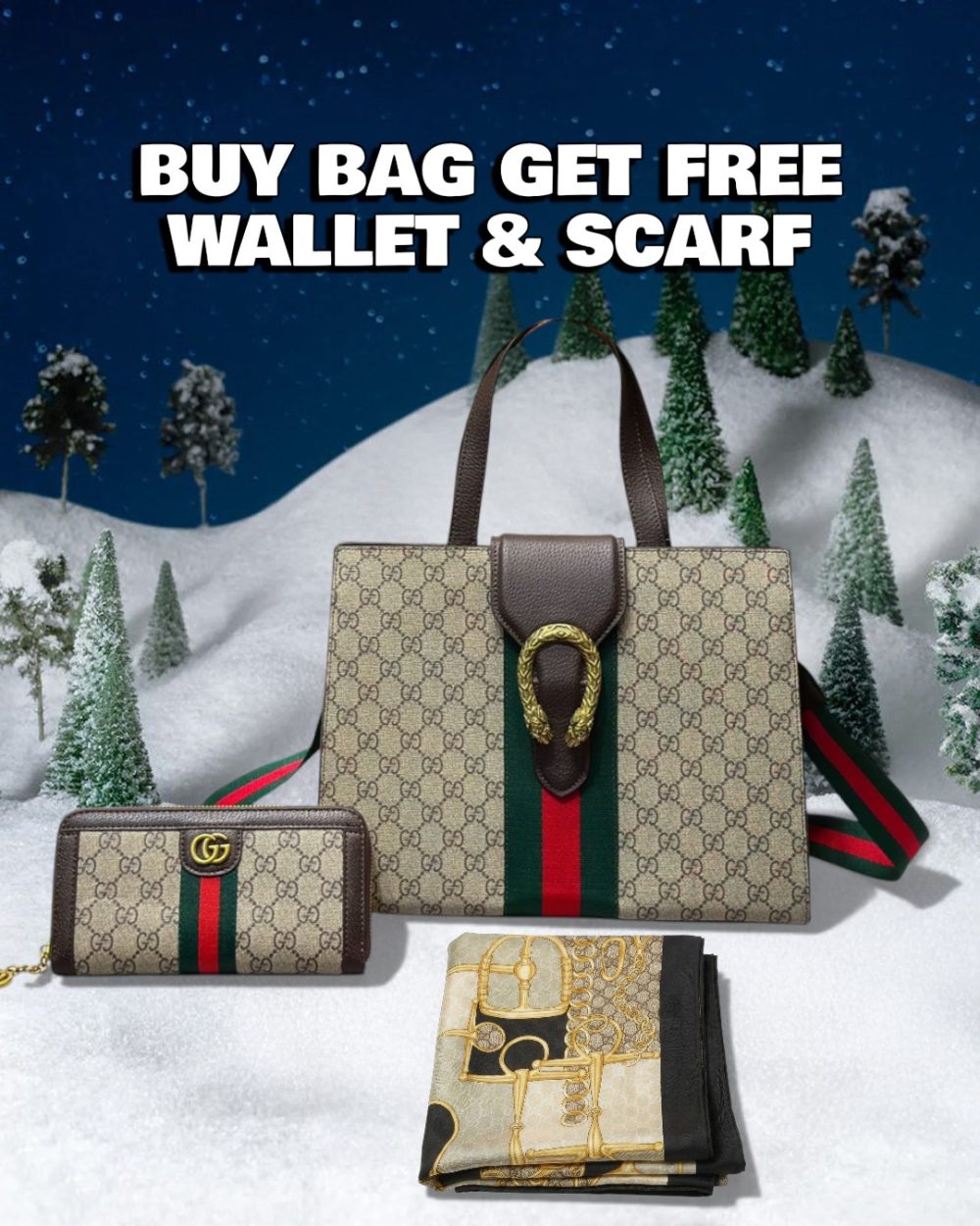 DBS-LC610 - Discounted Price For Set 2 Bags