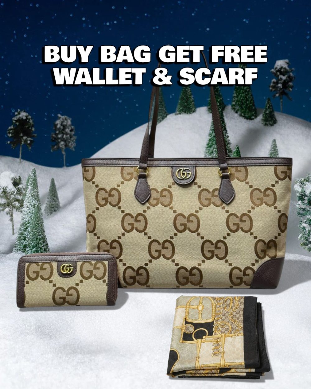 DBS-LC620 - Discounted Price For Set 2 Bags