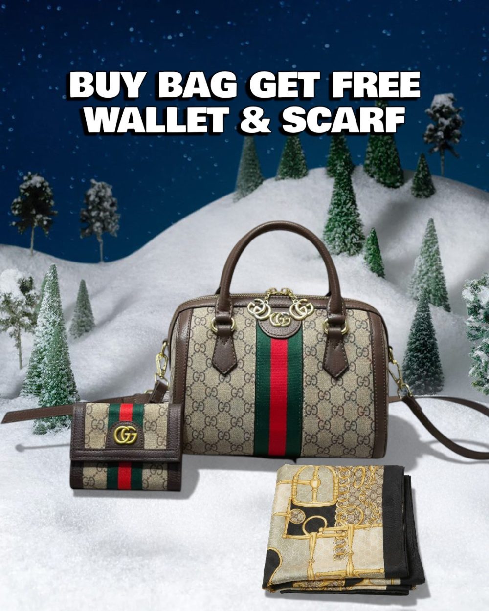 DBS-LC630 - Discounted Price For Set 2 Bags