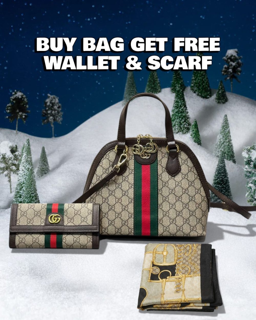 DBS-LC635 - Discounted Price For Set 2 Bags