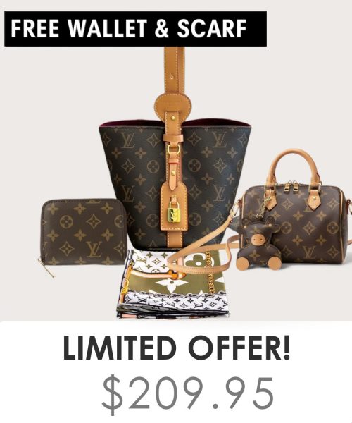 Big bag + Nano speedy + Gifts (Free LV Wallet + Free LV Silk Scarf)