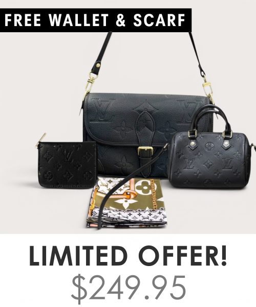 Big bag + Nano speedy + Gifts (Free LV Wallet + Free LV Silk Scarf)
