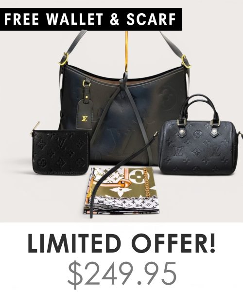 Big bag + Nano speedy + Gifts (Free LV Wallet + Free LV Silk Scarf)