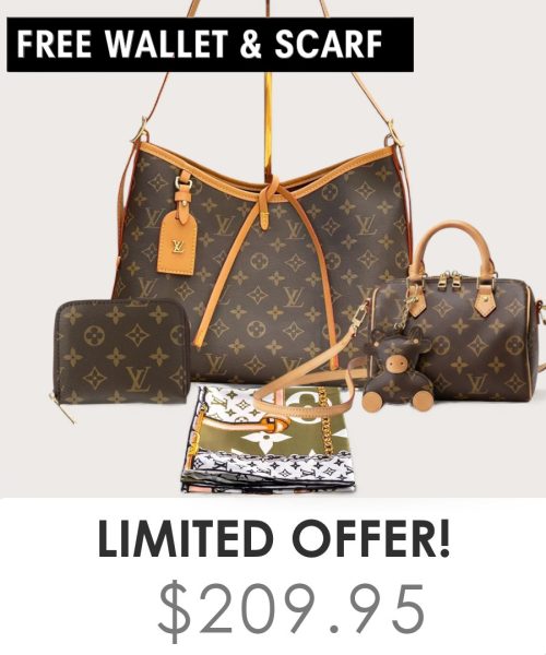 Big bag + Nano speedy + Gifts (Free LV Wallet + Free LV Silk Scarf)