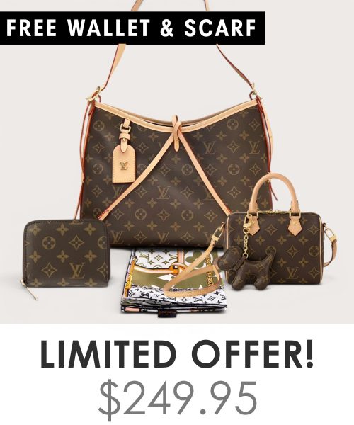 Big bag + Nano speedy + Gifts (Free LV Wallet + Free LV Silk Scarf)