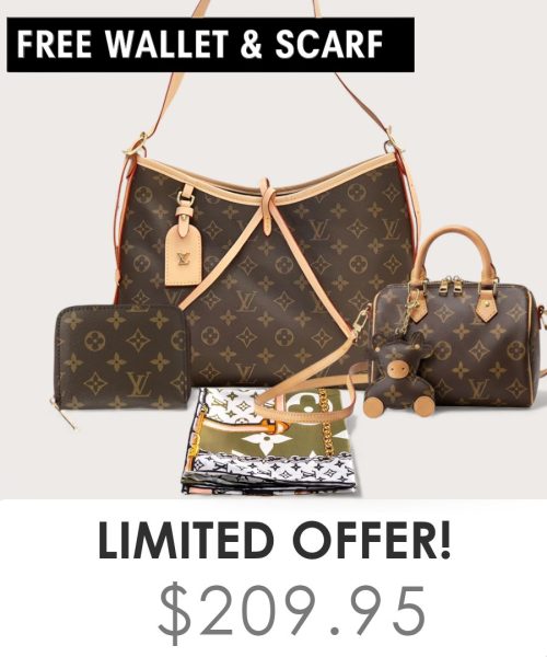 Big bag + Nano speedy + Gifts (Free LV Wallet + Free LV Silk Scarf)