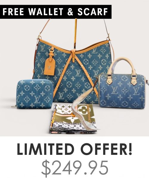 Big bag + Nano speedy + Gifts (Free LV Wallet + Free LV Silk Scarf)