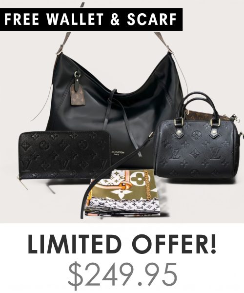 Big bag + Nano speedy + Gifts (Free LV Wallet + Free LV Silk Scarf)