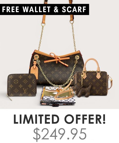 Big bag + Nano speedy + Gifts (Free LV Wallet + Free LV Silk Scarf)