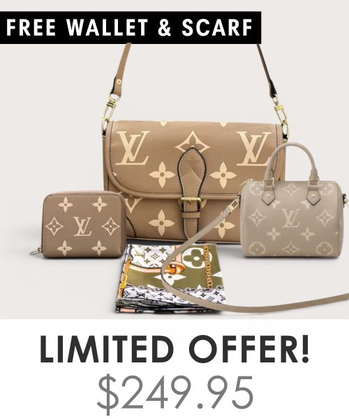Big bag + Nano speedy + Gifts (Free LV Wallet + Free LV Silk Scarf)