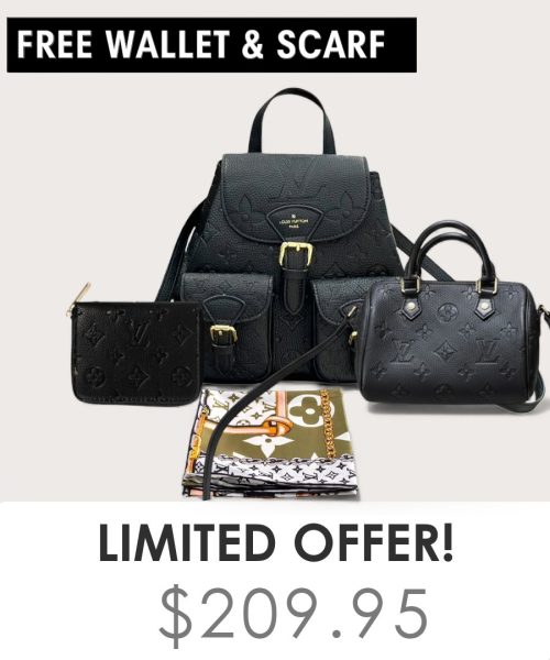 Big bag + Nano speedy + Gifts (Free LV Wallet + Free LV Silk Scarf)