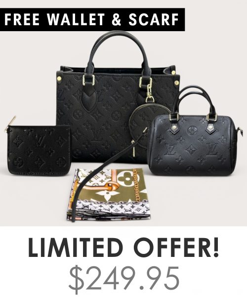 Big bag + Nano speedy + Gifts (Free LV Wallet + Free LV Silk Scarf)