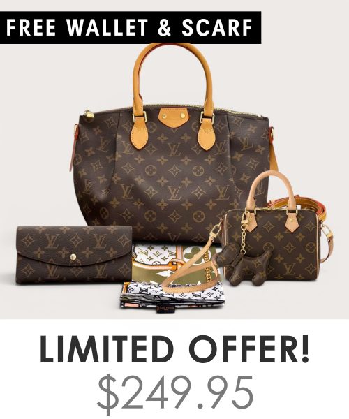 Big bag + Nano speedy + Gifts (Free LV Wallet + Free LV Silk Scarf)