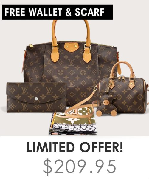 Big bag + Nano speedy + Gifts (Free LV Wallet + Free LV Silk Scarf)