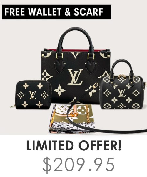 Big bag + Nano speedy + Gifts (Free LV Wallet + Free LV Silk Scarf)