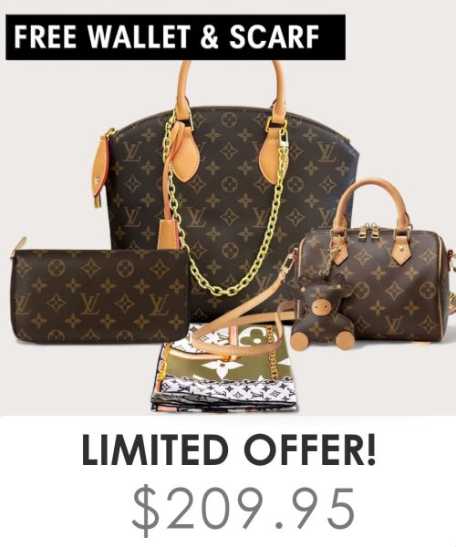 Big bag + Nano speedy + Gifts (Free LV Wallet + Free LV Silk Scarf)