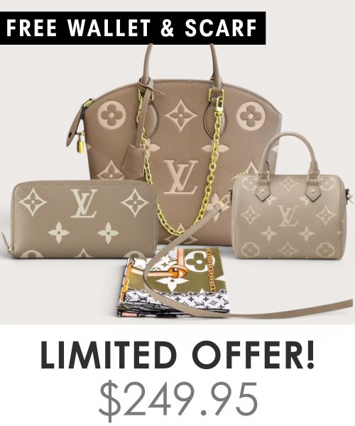Big bag + Nano speedy + Gifts (Free LV Wallet + Free LV Silk Scarf)