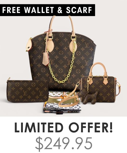 Big bag + Nano speedy + Gifts (Free LV Wallet + Free LV Silk Scarf)