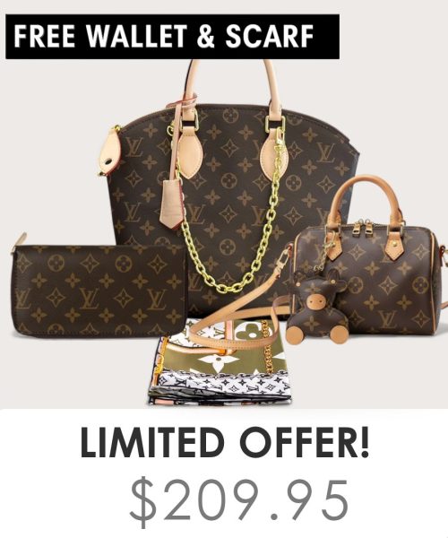 Big bag + Nano speedy + Gifts (Free LV Wallet + Free LV Silk Scarf)