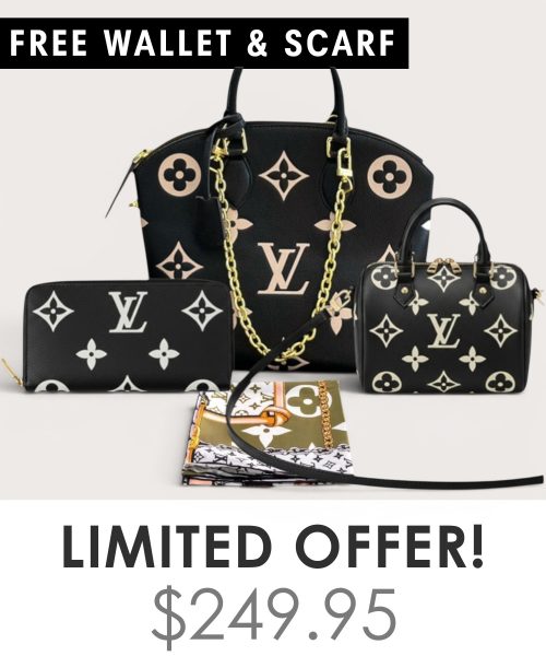 Big bag + Nano speedy + Gifts (Free LV Wallet + Free LV Silk Scarf)