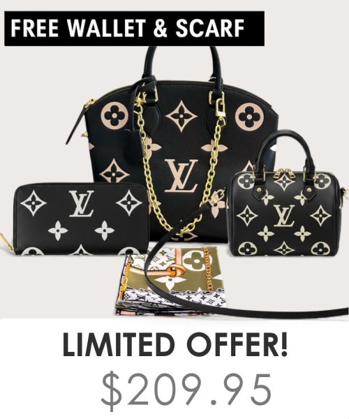 Big bag + Nano speedy + Gifts (Free LV Wallet + Free LV Silk Scarf)