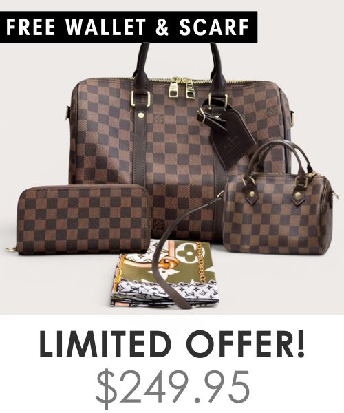Big bag + Nano speedy + Gifts (Free LV Wallet + Free LV Silk Scarf)