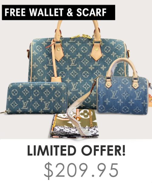 Big bag + Nano speedy + Gifts (Free LV Wallet + Free LV Silk Scarf)