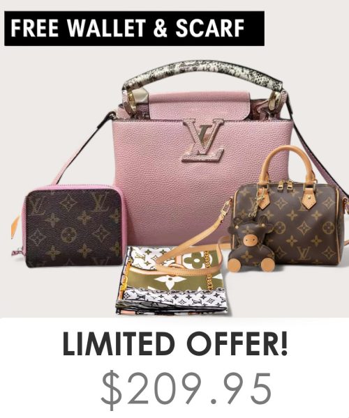 Big bag + Nano speedy + Gifts (Free LV Wallet + Free LV Silk Scarf)