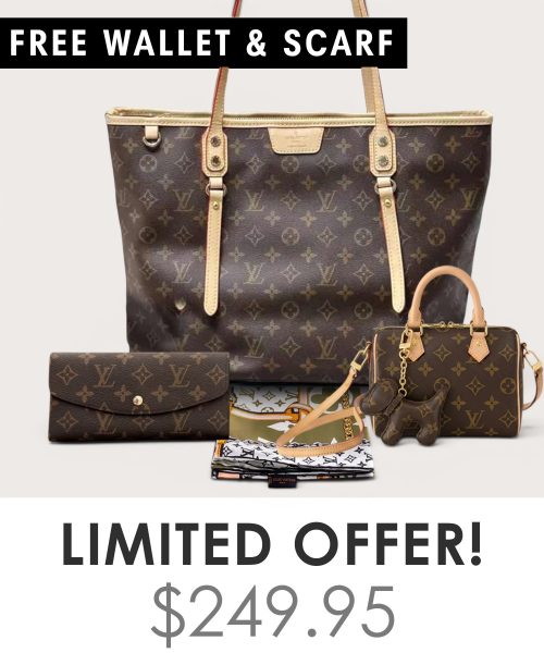 Big bag + Nano speedy + Gifts (Free LV Wallet + Free LV Silk Scarf)