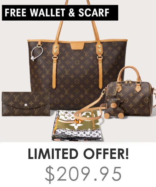Big bag + Nano speedy + Gifts (Free LV Wallet + Free LV Silk Scarf)