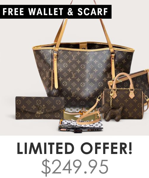 Big bag + Nano speedy + Gifts (Free LV Wallet + Free LV Silk Scarf)