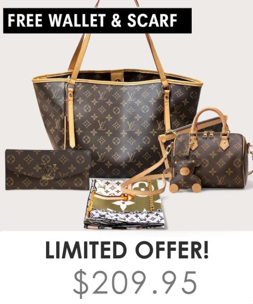Big bag + Nano speedy + Gifts (Free LV Wallet + Free LV Silk Scarf)