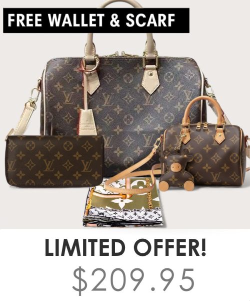 Big bag + Nano speedy + Gifts (Free LV Wallet + Free LV Silk Scarf)